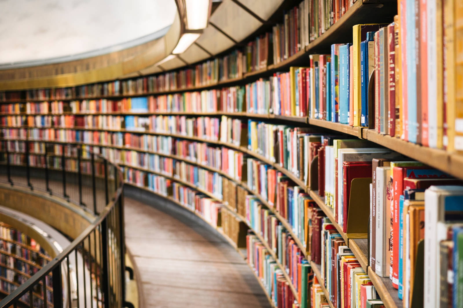 Books on books on shelves.