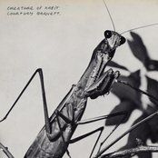 Another Beautiful Day - Courtney Barnett