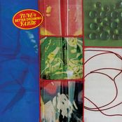 Swarm - Tune-Yards
