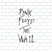 Comfortably Numb - Pink Floyd